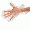 Galaxy® Disposable Food Handling Gloves