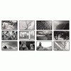 Visual Organizer® Black & White Photographic Monthly Wall Calendar