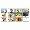 Visual Organizer® Full-Color Puppies Photographic Monthly Wall Calendar