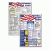 Advantus® State/Federal Labor Law Poster Combo Pack