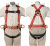 Full-Body Fall-Arrest/Positioning/Retrieval Harness