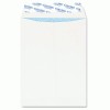 Columbian® Grip-Seal® Security Tinted All-Purpose Catalog Envelope
